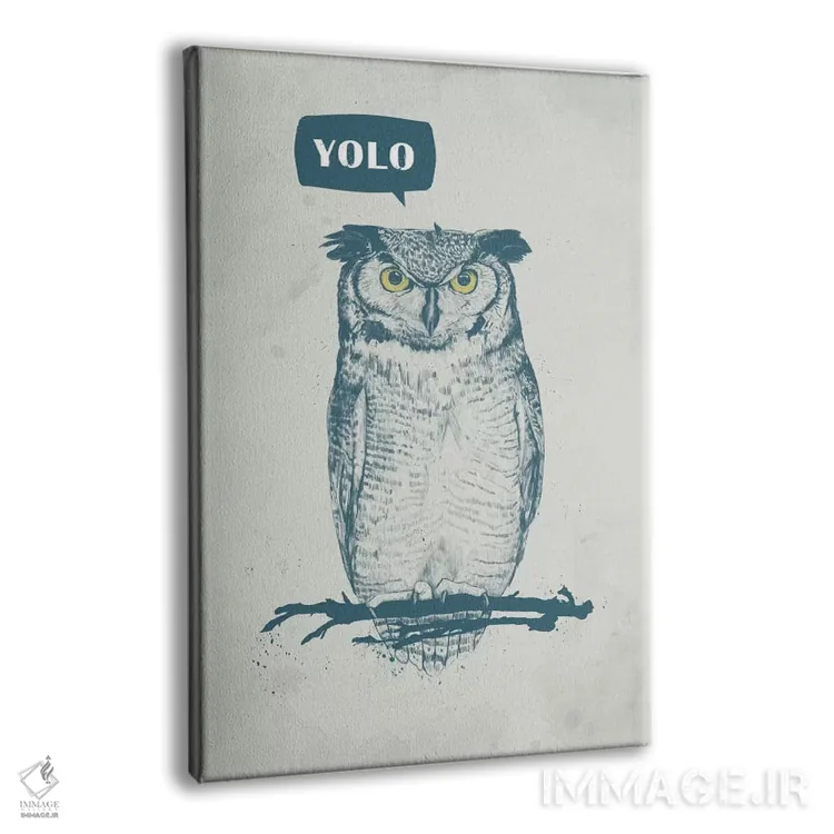 تابلو تو فقط یکبار زندگی میکنی (YOLO) اثر بالازس شولتی - نمای پرسپکتیو محصول