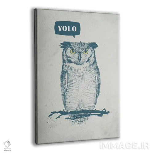 تابلو تو فقط یکبار زندگی میکنی (YOLO) اثر بالازس شولتی - نمای پرسپکتیو محصول