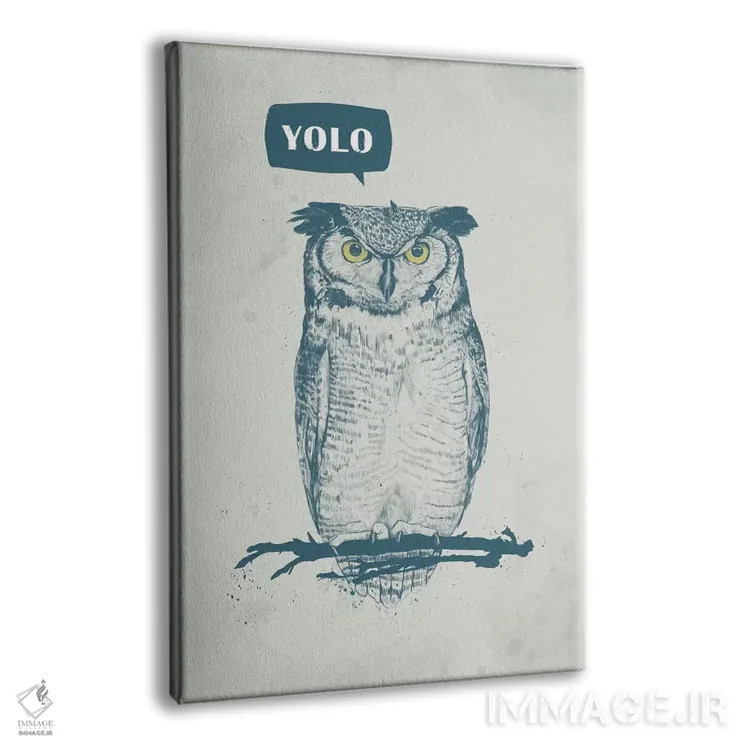 تابلو تو فقط یکبار زندگی میکنی (YOLO) اثر بالازس شولتی - نمای پرسپکتیو محصول