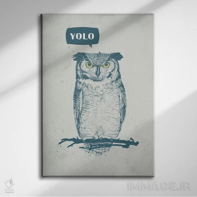 تابلو تو فقط یکبار زندگی میکنی (YOLO) اثر بالازس شولتی - نمای روبهرو روی دیوار