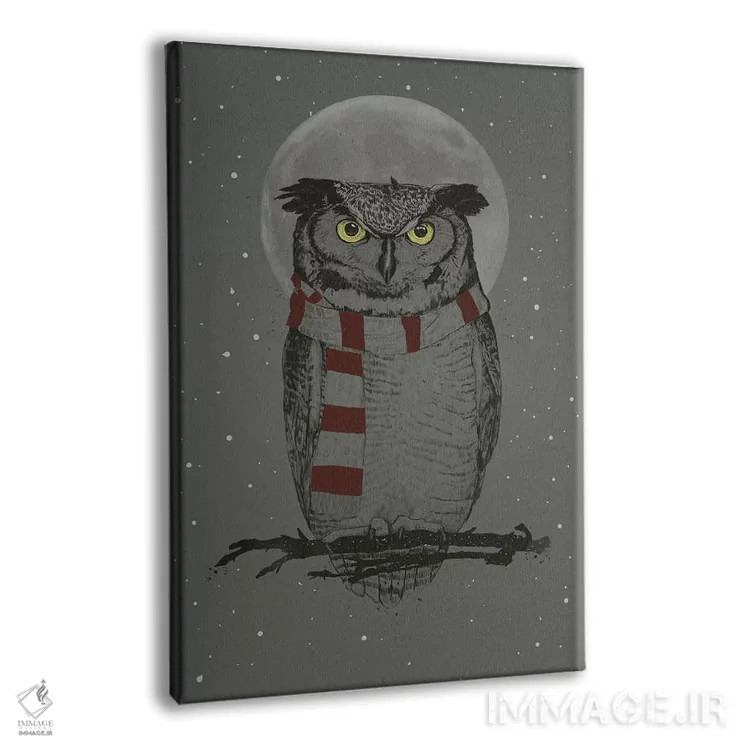 تابلو جغد زمستانی اثر بالازس شولتی - نمای پرسپکتیو محصول