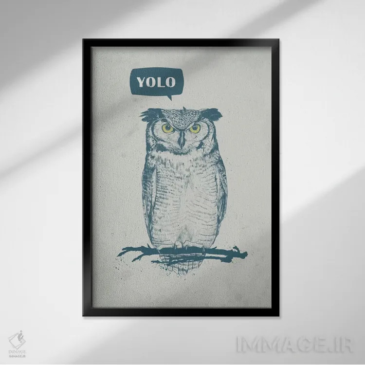 تابلو تو فقط یکبار زندگی میکنی (YOLO) اثر بالازس شولتی - نمای قابدار مشکی