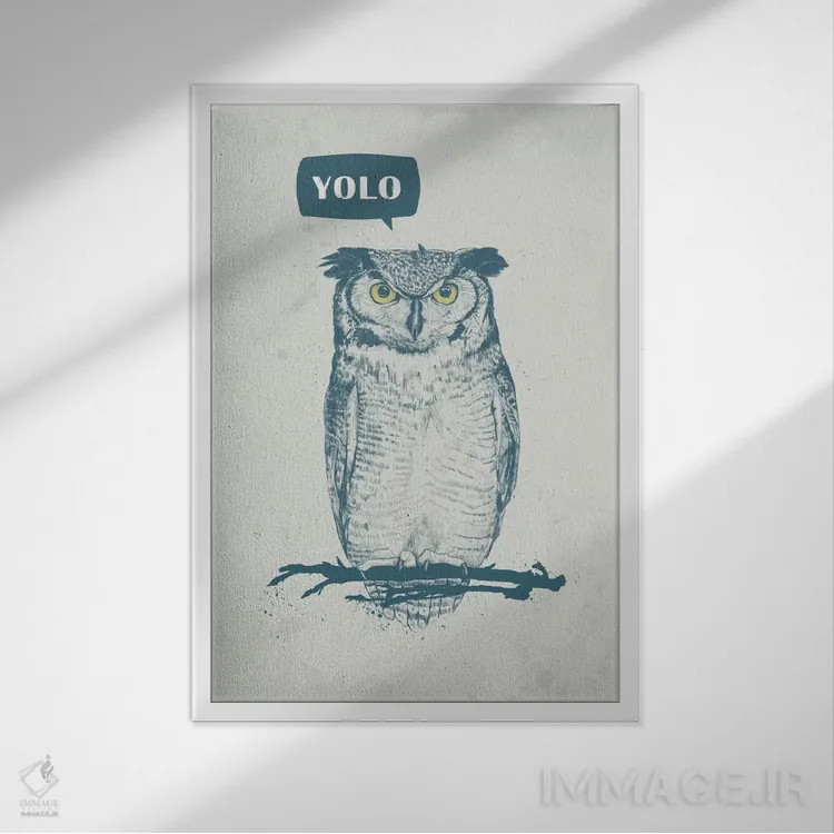 تابلو تو فقط یکبار زندگی میکنی (YOLO) اثر بالازس شولتی - نمای قابدار سفید