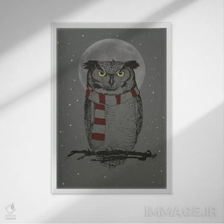 تابلو جغد زمستانی اثر بالازس شولتی - نمای قابدار سفید