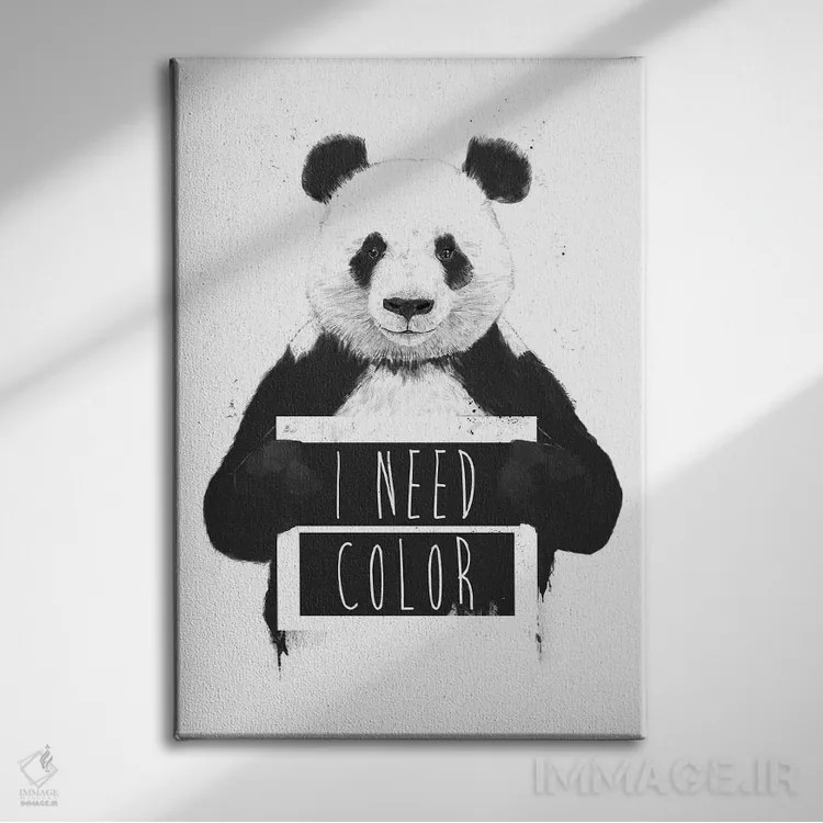 تابلو من به رنگ نیاز دارم اثر بالازس شولتی - نمای روبهرو روی دیوار