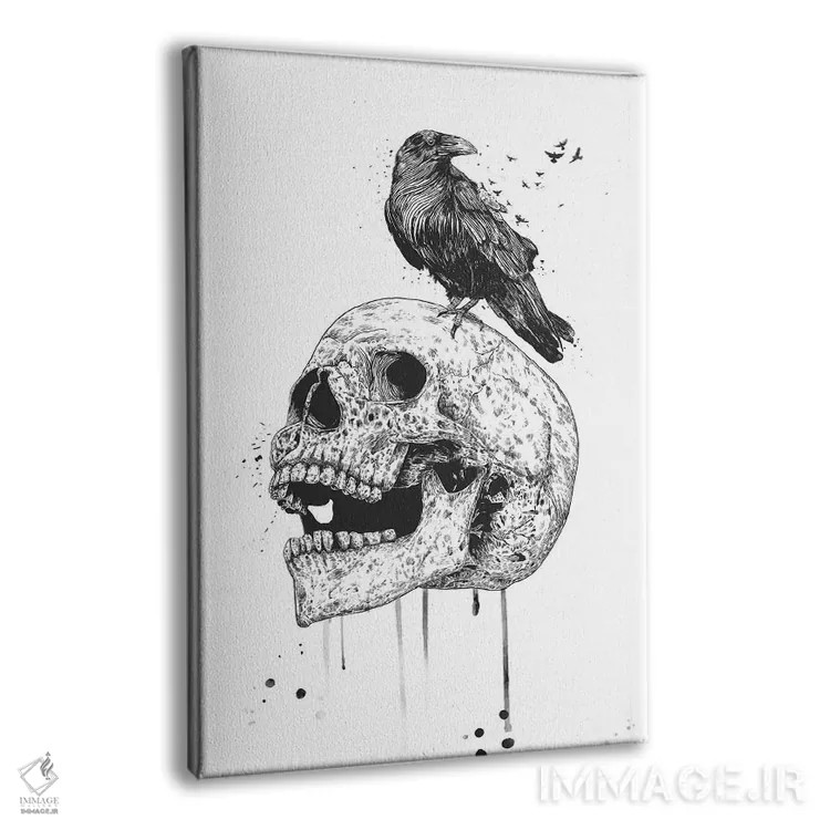 تابلو جمجمه جدید (سیاه و سفید) اثر بالازس شولتی - نمای پرسپکتیو محصول