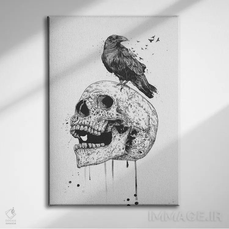 تابلو جمجمه جدید (سیاه و سفید) اثر بالازس شولتی - نمای روبهرو روی دیوار
