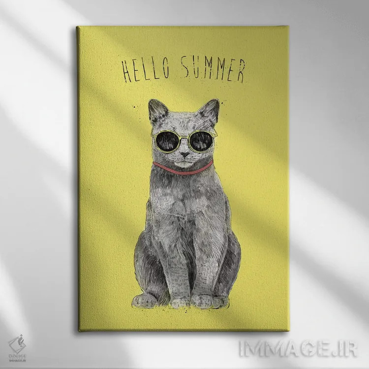 تابلو سلام تابستان اثر بالازس شولتی - نمای روبهرو روی دیوار