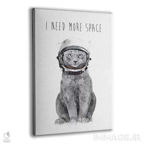 تابلو به فضای بیشتری نیاز دارم اثر بالازس شولتی - نمای پرسپکتیو محصول