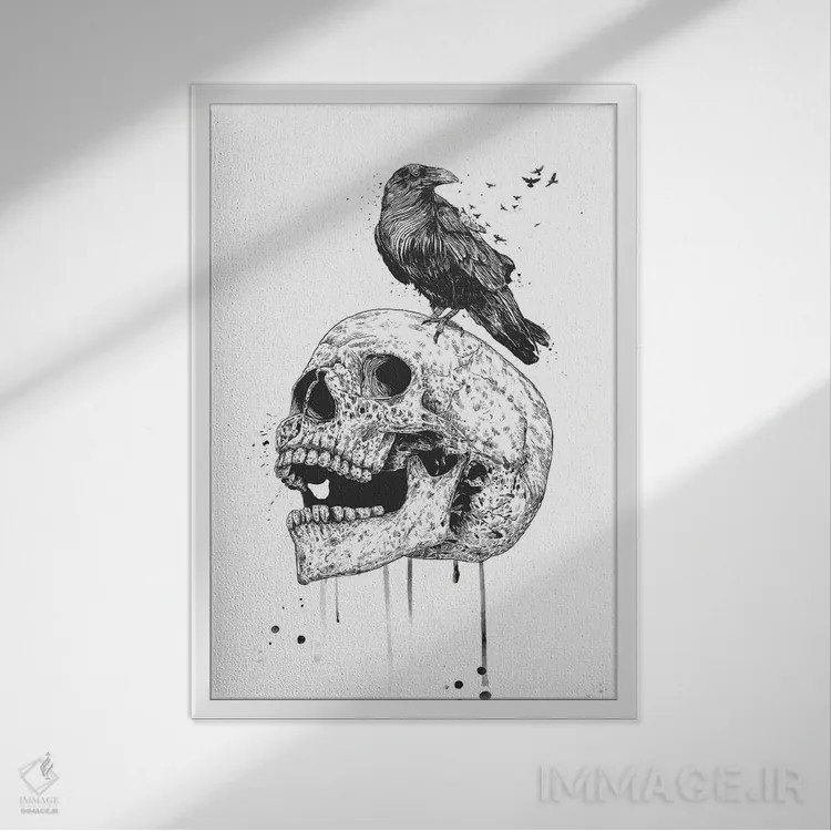 تابلو جمجمه جدید (سیاه و سفید) اثر بالازس شولتی - نمای قابدار سفید