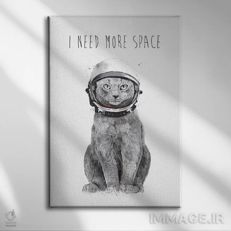 تابلو به فضای بیشتری نیاز دارم اثر بالازس شولتی - نمای روبهرو روی دیوار