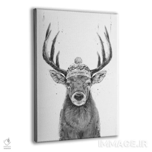 تابلو بیا بیرون برویم (سیاه و سفید) اثر بالازس شولتی - نمای پرسپکتیو محصول