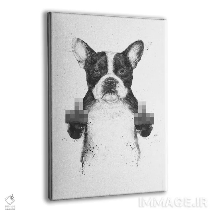 تابلو سگ سانسور شده اثر بالازس شولتی - نمای پرسپکتیو محصول