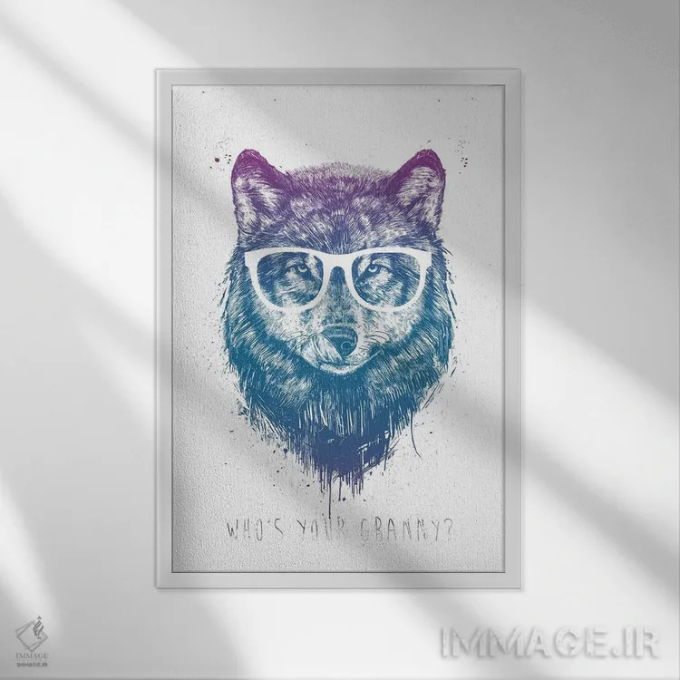 تابلو مادربزرگت کیه؟ اثر بالازس شولتی - نمای قابدار سفید