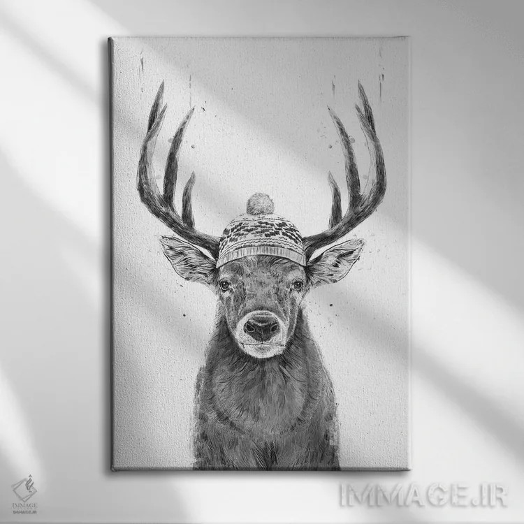 تابلو بیا بیرون برویم (سیاه و سفید) اثر بالازس شولتی - نمای روبهرو روی دیوار