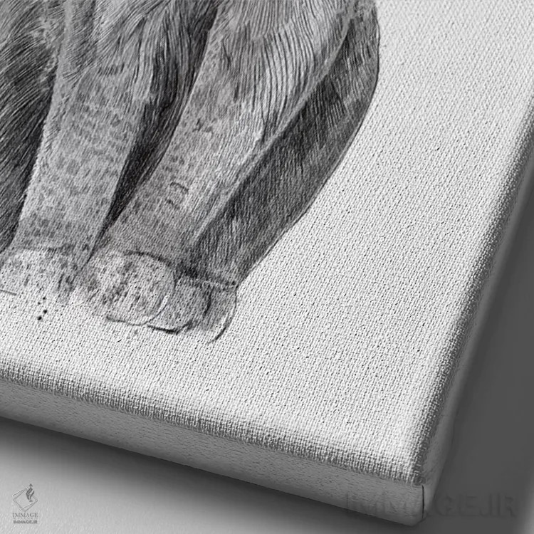 تابلو به فضای بیشتری نیاز دارم اثر بالازس شولتی - نمای نزدیک بافت بوم