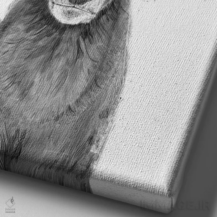 تابلو بیا بیرون برویم (سیاه و سفید) اثر بالازس شولتی - نمای نزدیک بافت بوم