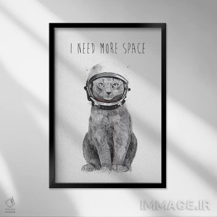 تابلو به فضای بیشتری نیاز دارم اثر بالازس شولتی - نمای قابدار مشکی