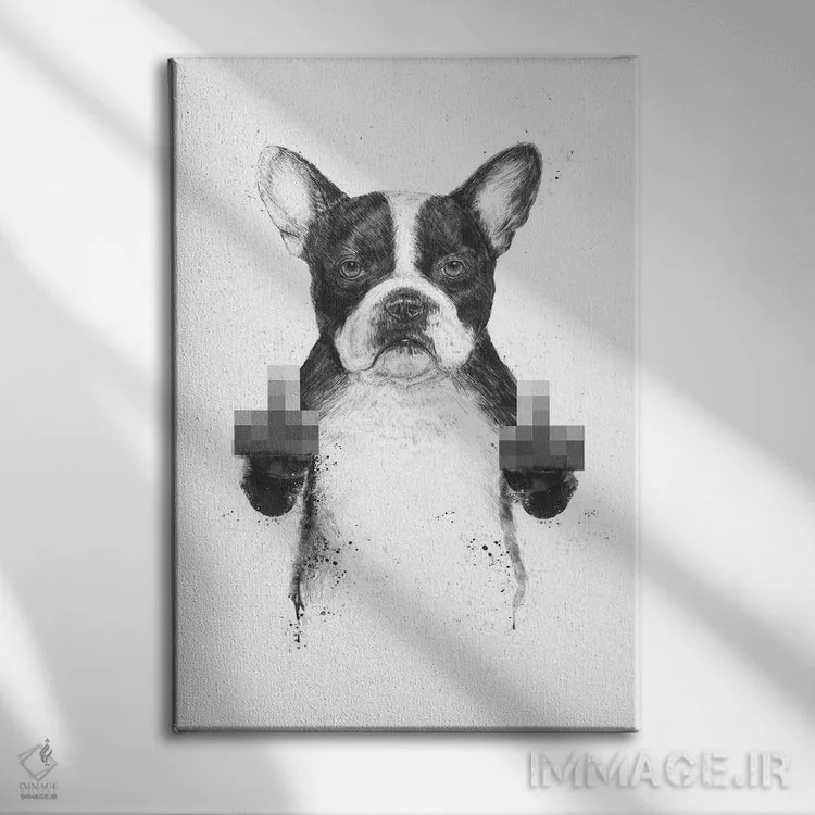 تابلو سگ سانسور شده اثر بالازس شولتی - نمای روبهرو روی دیوار