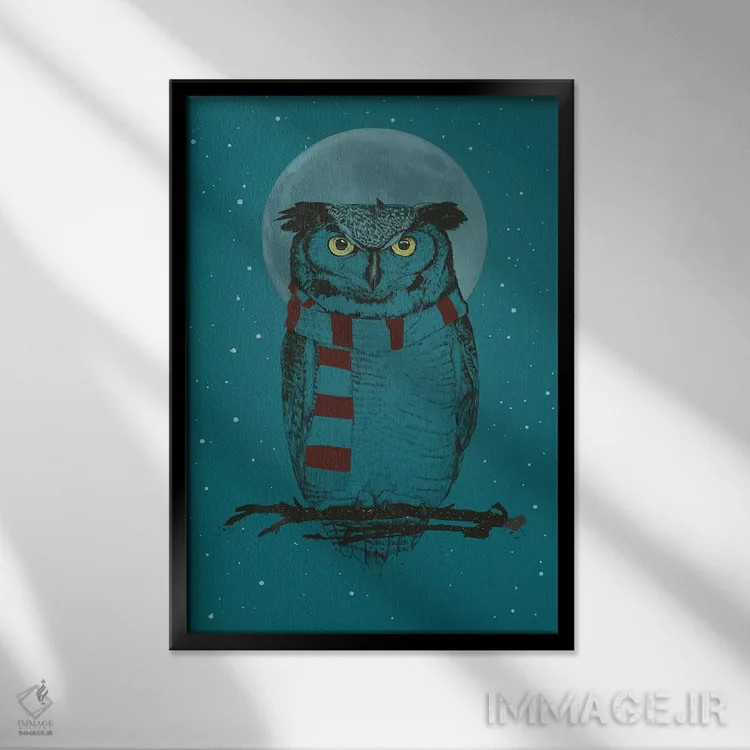 تابلو جغد زمستانی ۲ اثر بالازس شولتی - نمای قابدار مشکی