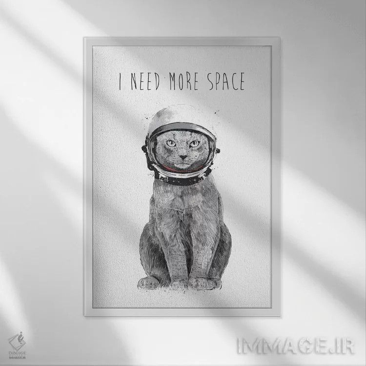 تابلو به فضای بیشتری نیاز دارم اثر بالازس شولتی - نمای قابدار سفید