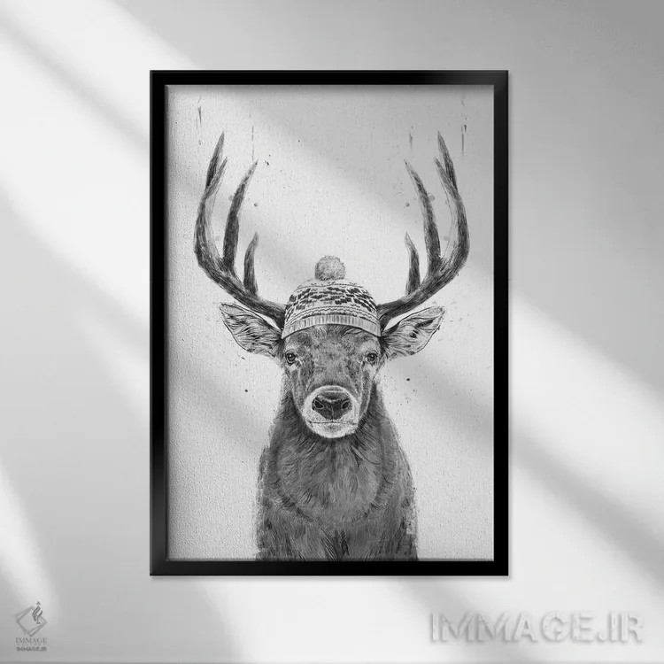 تابلو بیا بیرون برویم (سیاه و سفید) اثر بالازس شولتی - نمای قابدار مشکی