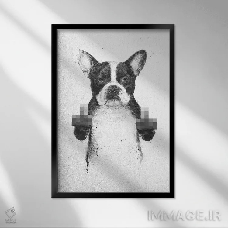 تابلو سگ سانسور شده اثر بالازس شولتی - نمای قابدار مشکی