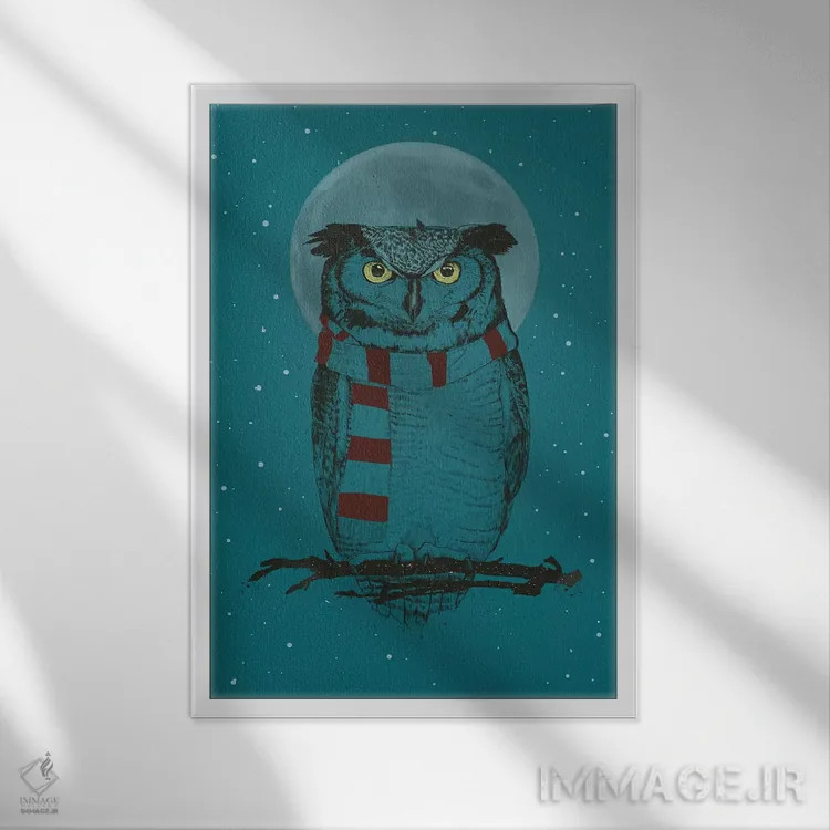 تابلو جغد زمستانی ۲ اثر بالازس شولتی - نمای قابدار سفید