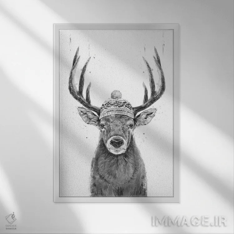 تابلو بیا بیرون برویم (سیاه و سفید) اثر بالازس شولتی - نمای قابدار سفید