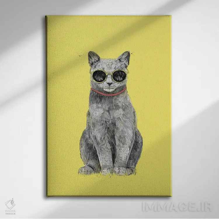 تابلو گربه تابستانی اثر بالازس شولتی - نمای روبهرو روی دیوار
