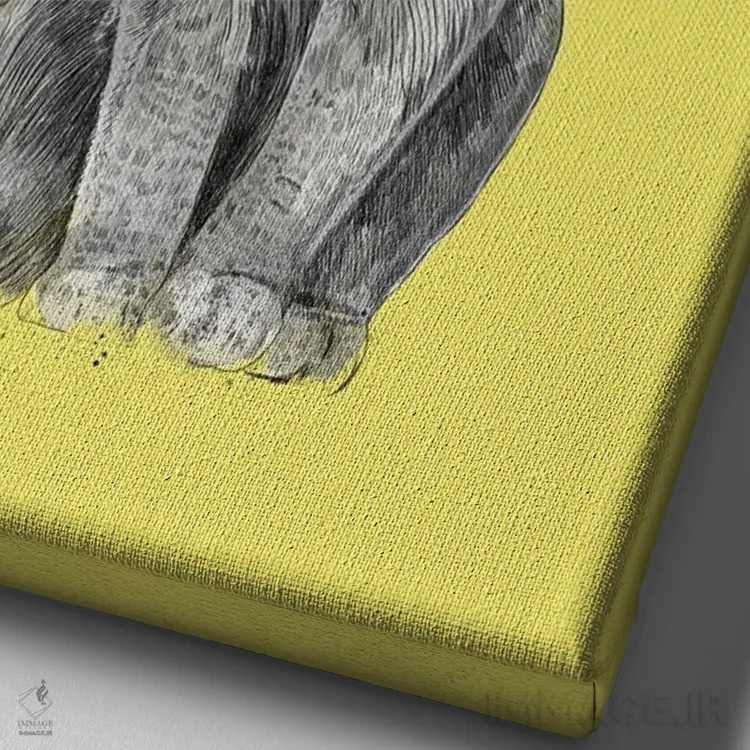 تابلو گربه تابستانی اثر بالازس شولتی - نمای نزدیک بافت بوم