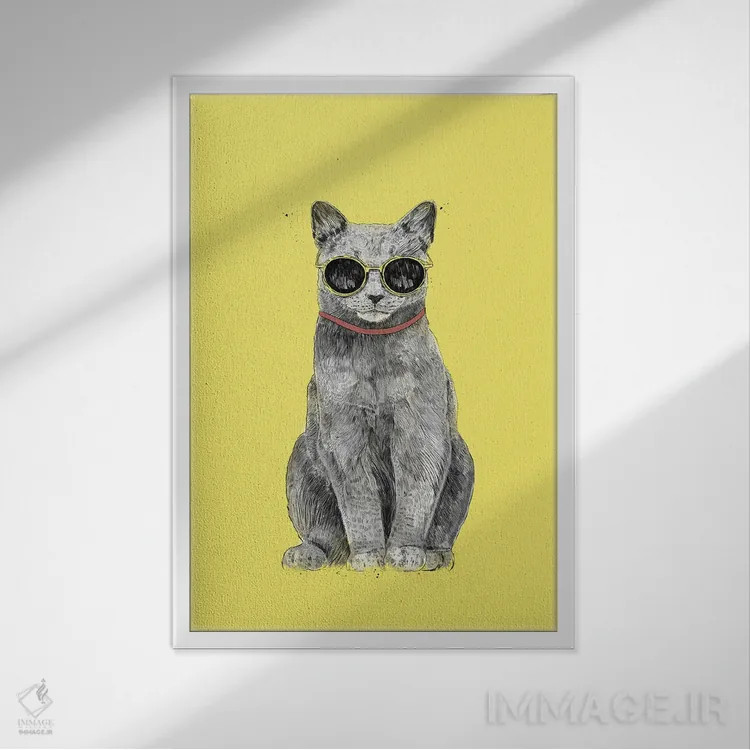 تابلو گربه تابستانی اثر بالازس شولتی - نمای قابدار سفید