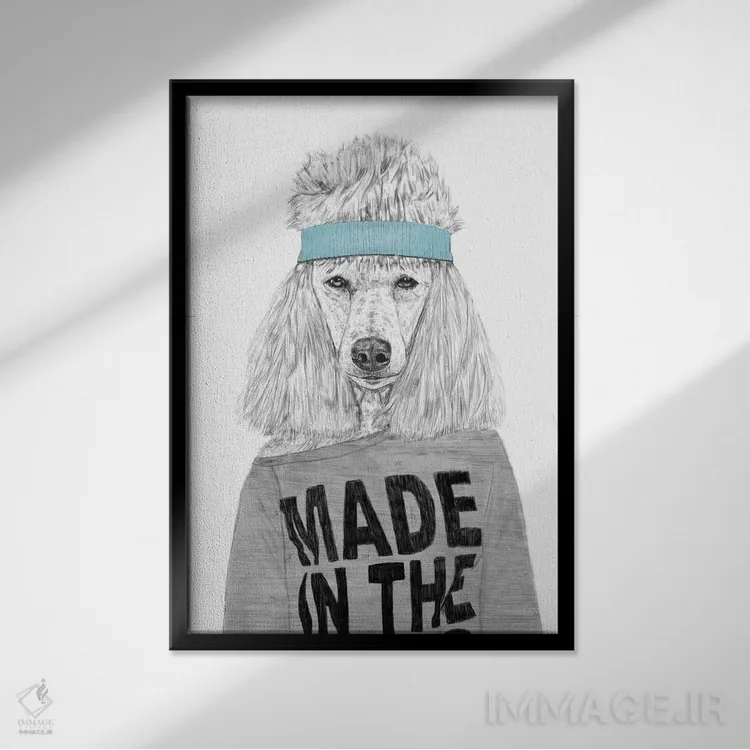 تابلو دختری از دهه ۸۰ (اسلنگ) اثر بالازس شولتی - نمای قابدار مشکی