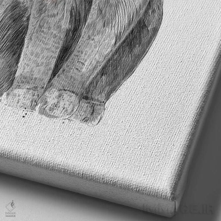 تابلو گربه کریسمس اثر بالازس شولتی - نمای نزدیک بافت بوم