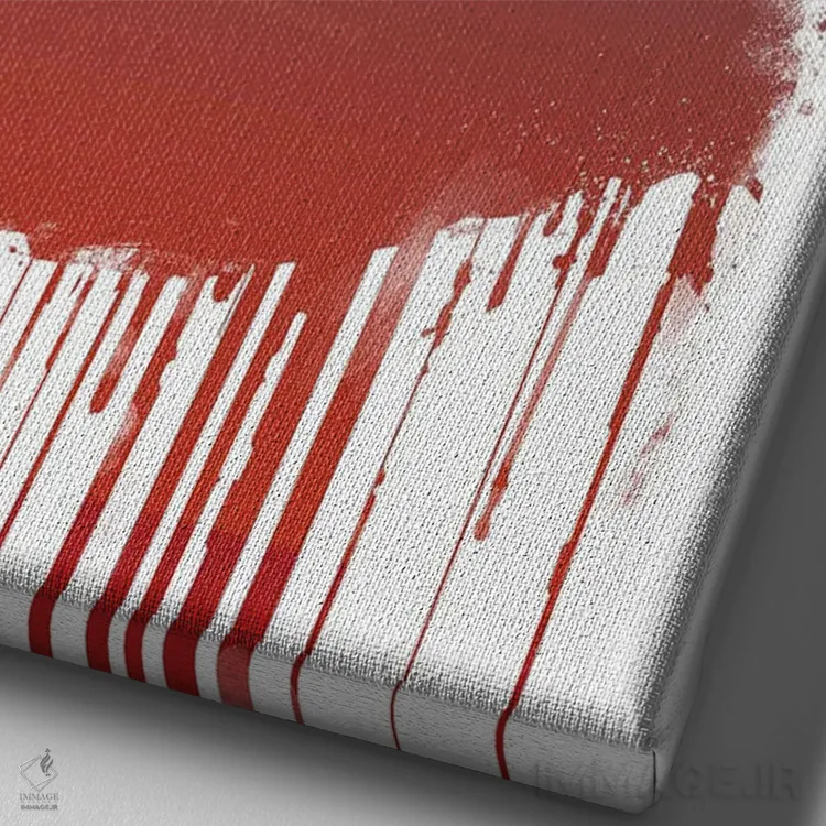 تابلو پاندای گرافیتی ۲ اثر بالازس شولتی - نمای نزدیک بافت بوم