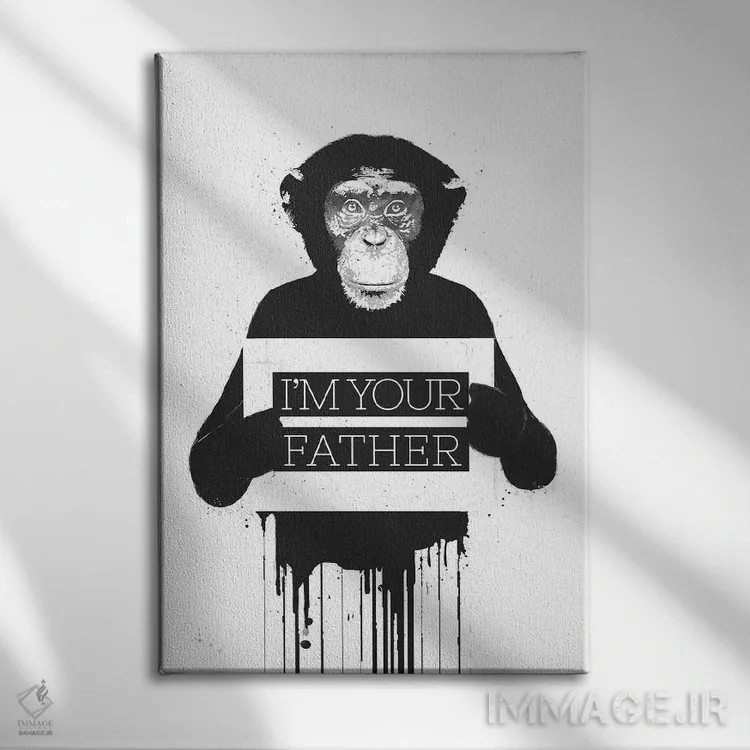 تابلو من پدر تو هستم ۲ اثر بالازس شولتی - نمای روبهرو روی دیوار