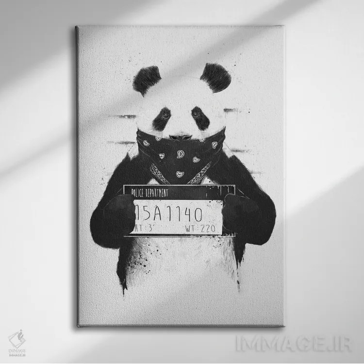 تابلو پاندای بد اثر بالازس شولتی - نمای روبهرو روی دیوار