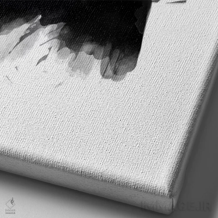 تابلو بادکنک اثر بالازس شولتی - نمای نزدیک بافت بوم