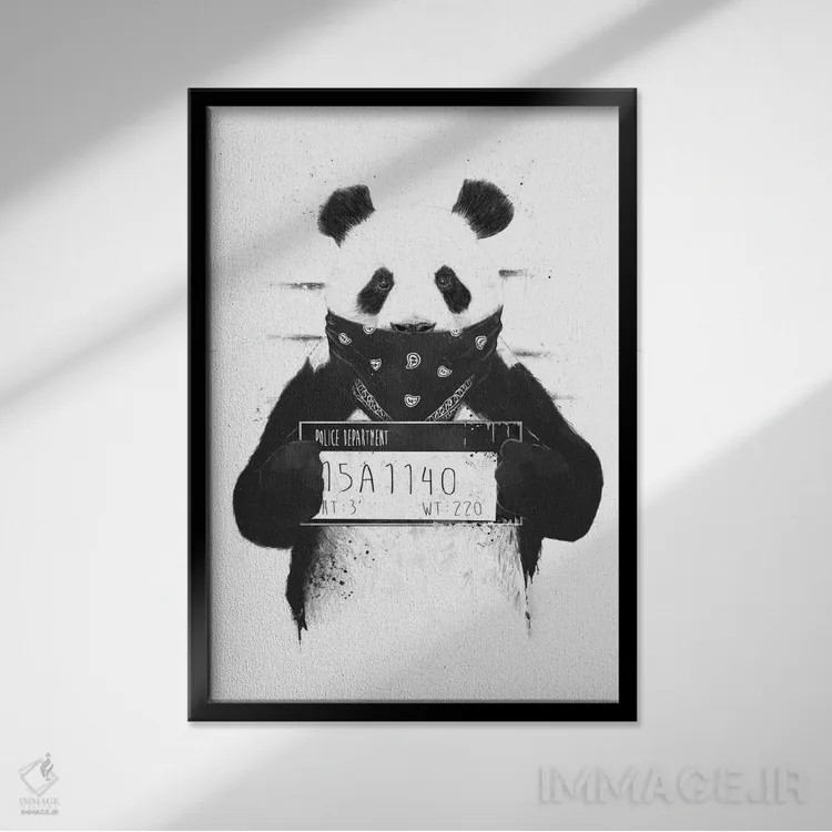 تابلو پاندای بد اثر بالازس شولتی - نمای قابدار مشکی