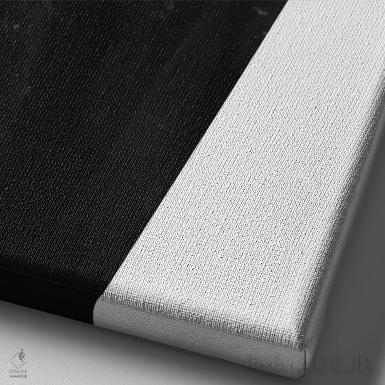 تابلو بیوه اثر بالازس شولتی - نمای نزدیک بافت بوم