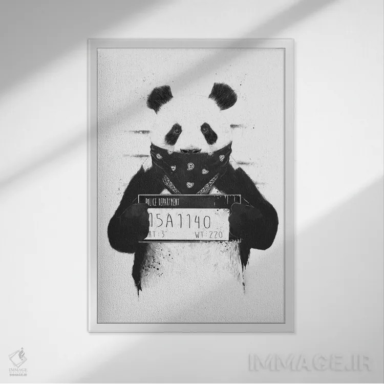 تابلو پاندای بد اثر بالازس شولتی - نمای قابدار سفید