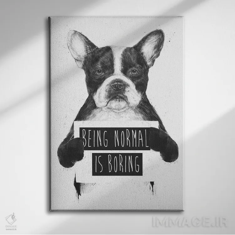 تابلو عادی بودن خستهکننده است اثر بالازس شولتی - نمای روبهرو روی دیوار