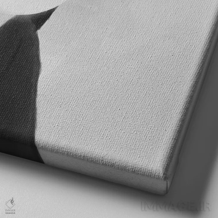 تابلو حباب اثر بالازس شولتی - نمای نزدیک بافت بوم