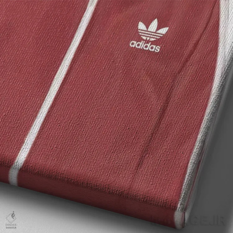 تابلو چاس (نام خاص) اثر بالازس شولتی - نمای نزدیک بافت بوم