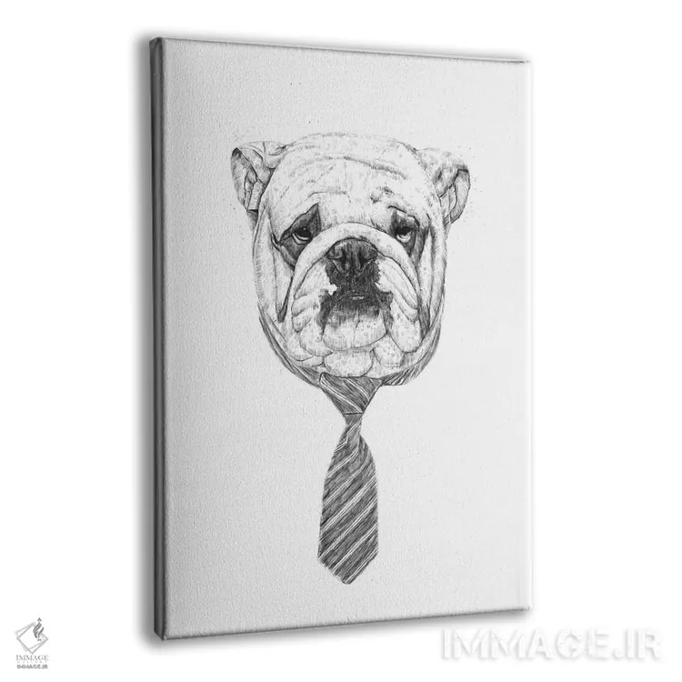 تابلو سگ باحال اثر بالازس شولتی - نمای پرسپکتیو محصول