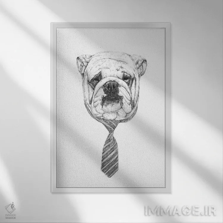 تابلو سگ باحال اثر بالازس شولتی - نمای قابدار سفید