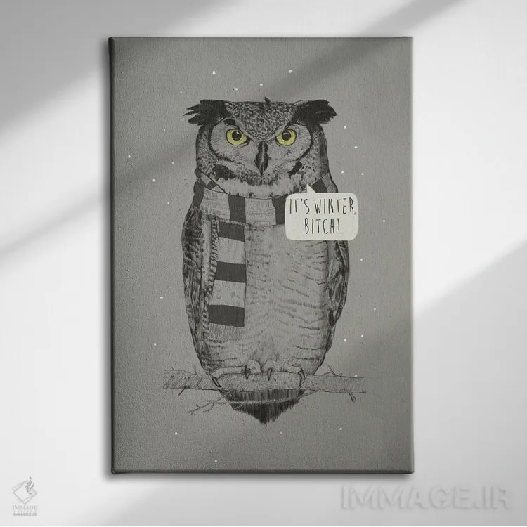 تابلو زمستان است، لعنتی! اثر بالازس شولتی - نمای روبهرو روی دیوار