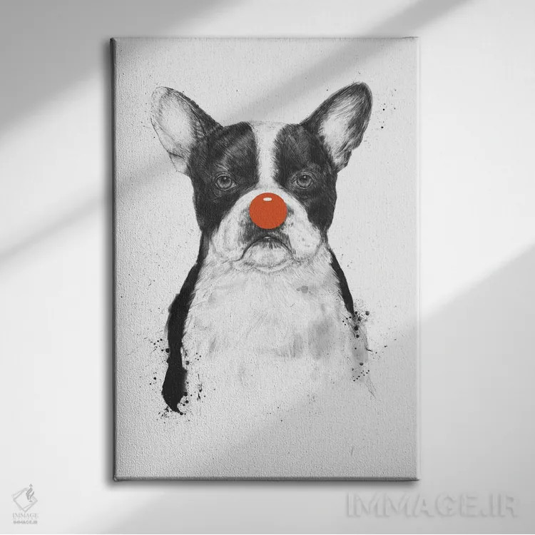 تابلو من دلقک تو نیستم اثر بالازس شولتی - نمای روبهرو روی دیوار