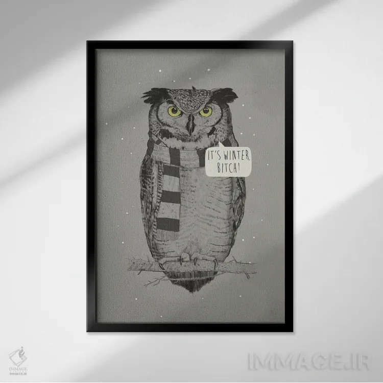 تابلو زمستان است، لعنتی! اثر بالازس شولتی - نمای قابدار مشکی