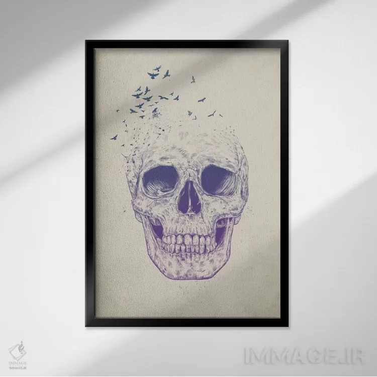 تابلو بگذار پرواز کنند اثر بالازس شولتی - نمای قابدار مشکی
